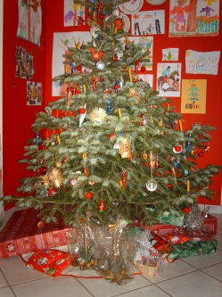 img30.jpg