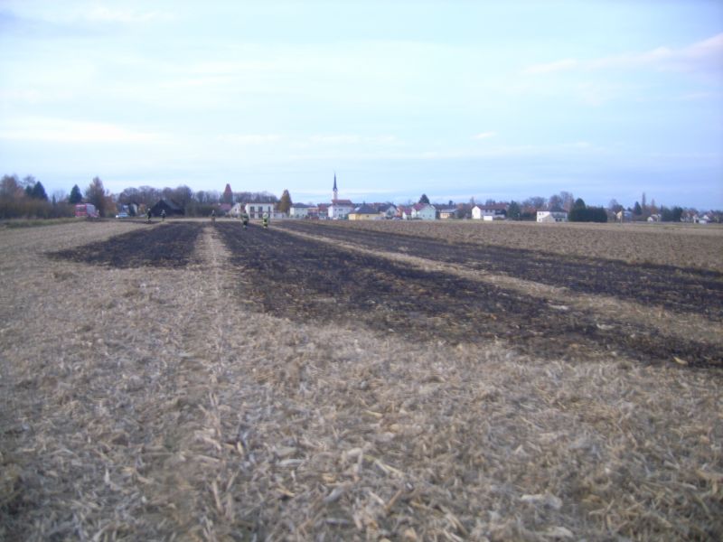 Bilder Wiesenbrand in Ulmerfeld