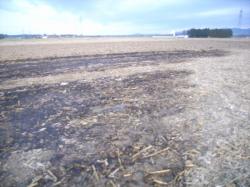 Bilder Wiesenbrand in Ulmerfeld