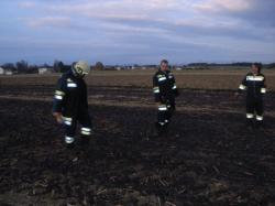 Bilder Wiesenbrand in Ulmerfeld
