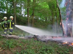 18_05_2012_Waldbrand Falkensteig