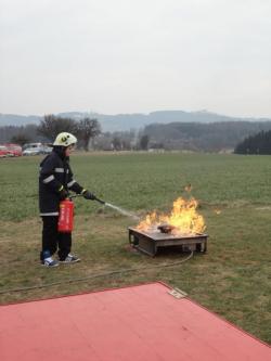 Wissenstest