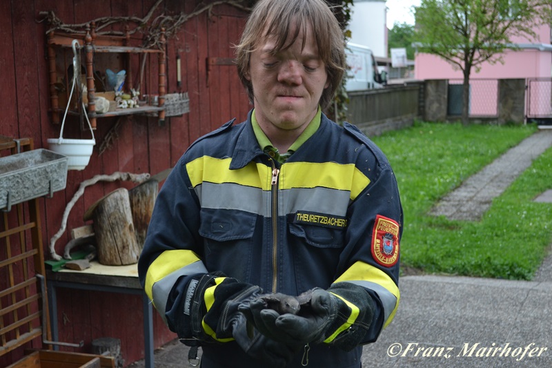 Tierrettung Vogel 