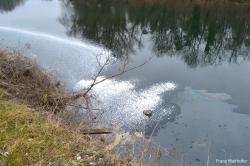 19.02.2014 S2 �leinsatz
