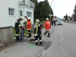 Fotogalerie
